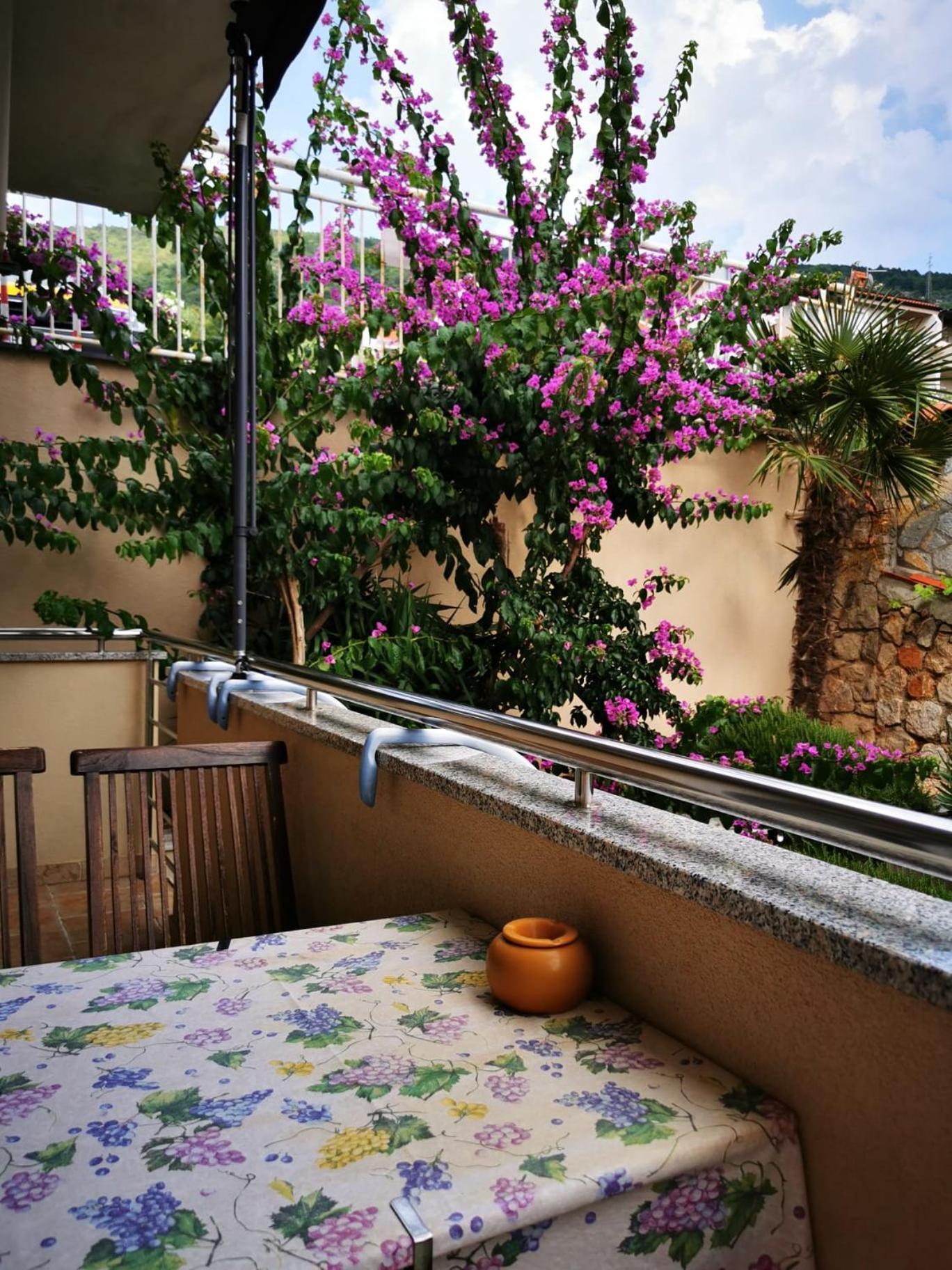 Apartman Mara *