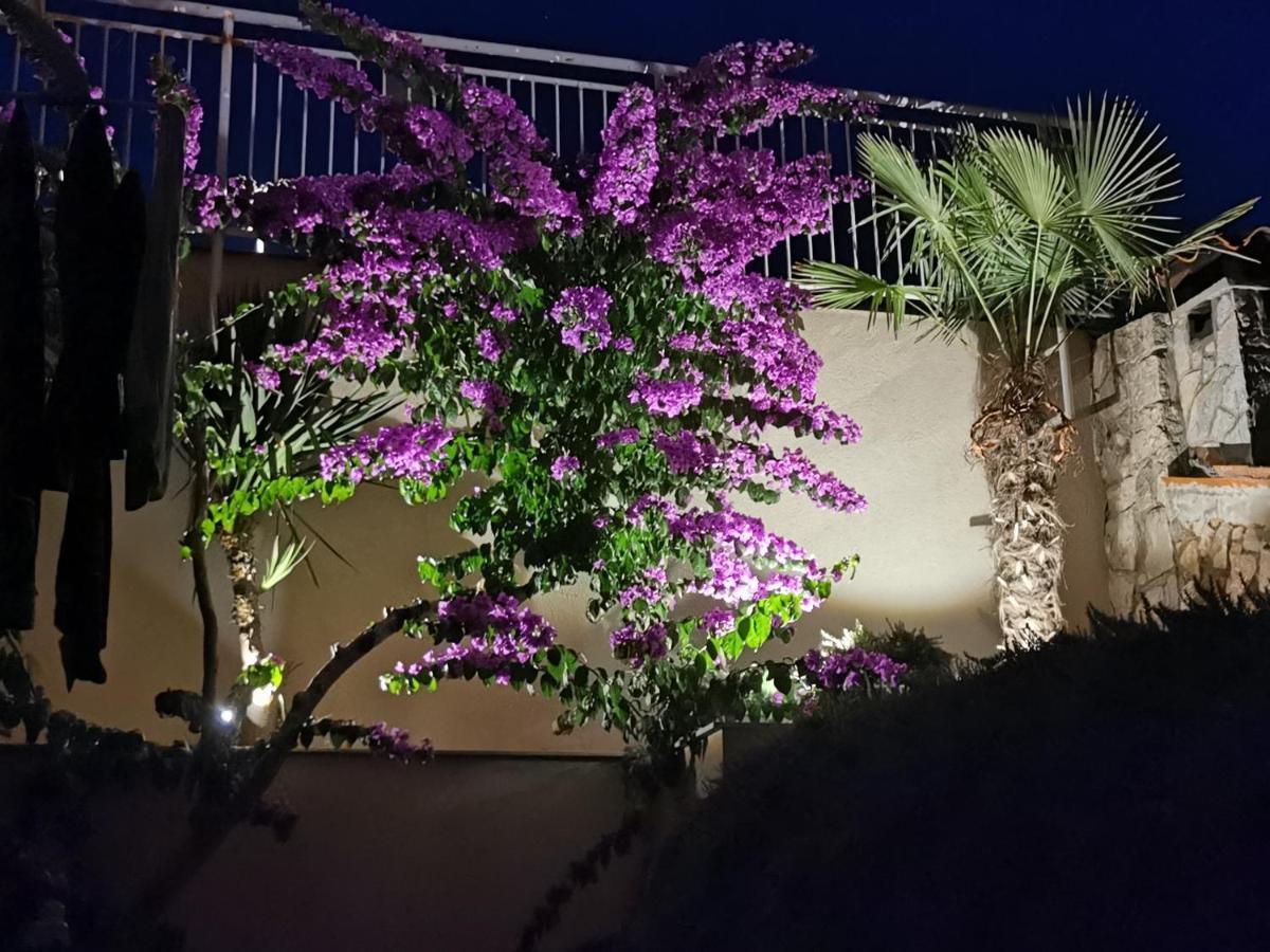 Apartma Mara Cres