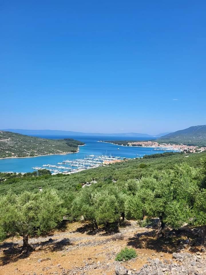 Apartman Mara